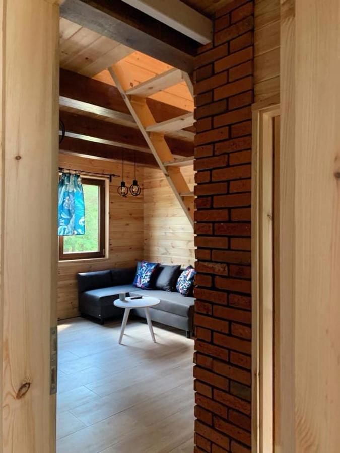 Nad Czarna Villa Sielpia Wielka Kültér fotó